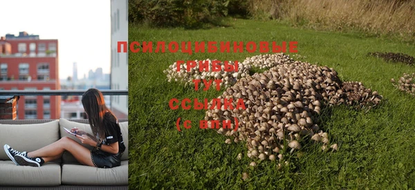 мескалин Алексин