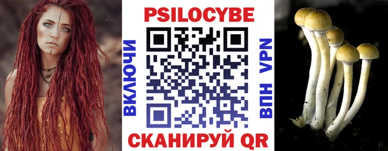 Галлюциногенные грибы мицелий  Псков 
